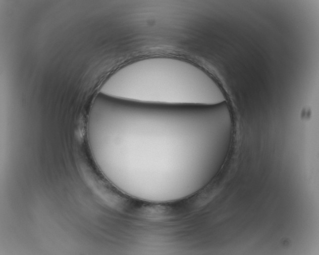 X0000111000069200906191154