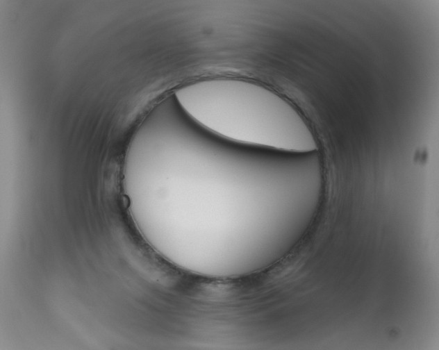 X0000111000071200906191154
