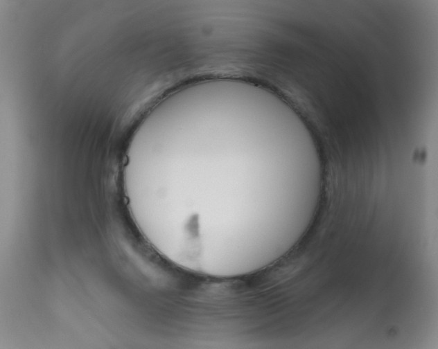 X0000111000072200906191154