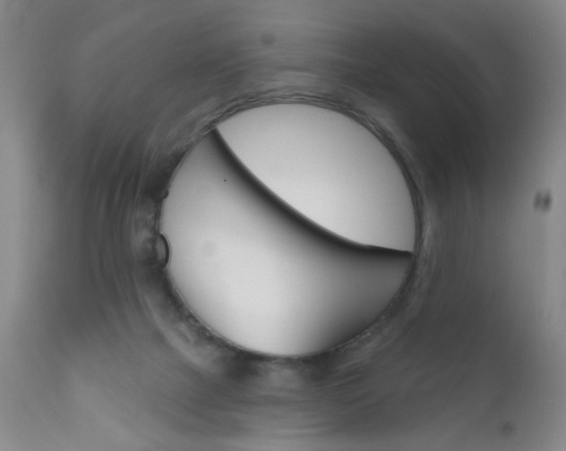 X0000111000073200906191154