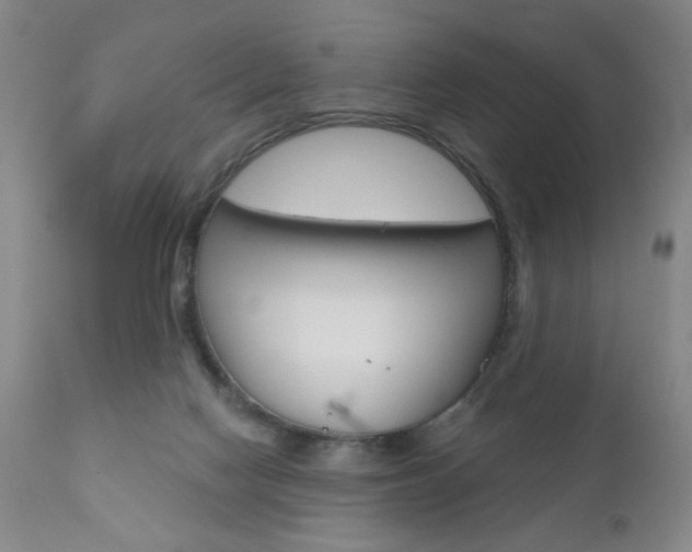 X0000111000074200906191154