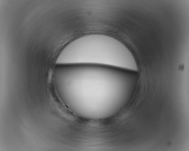 X0000111000076200906191154