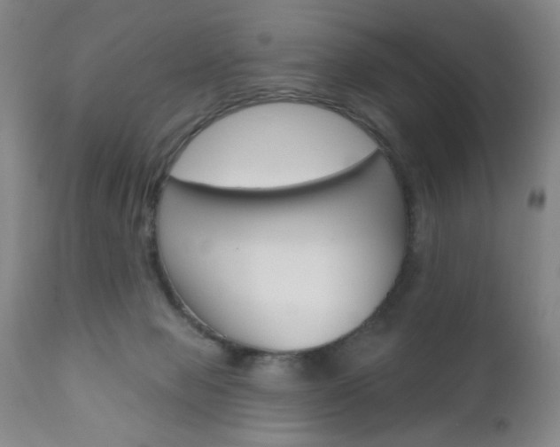 X0000111000077200906191154