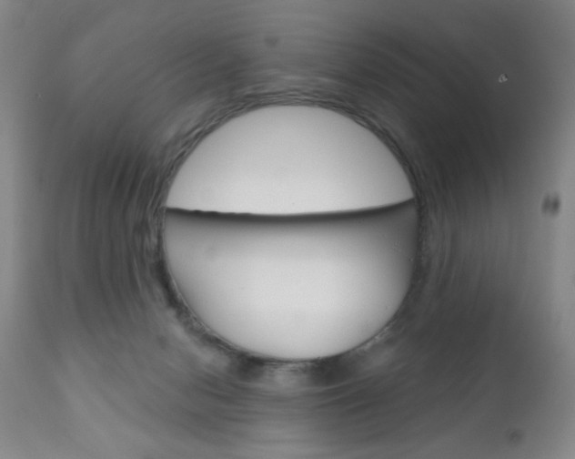 X0000111000078200906191154
