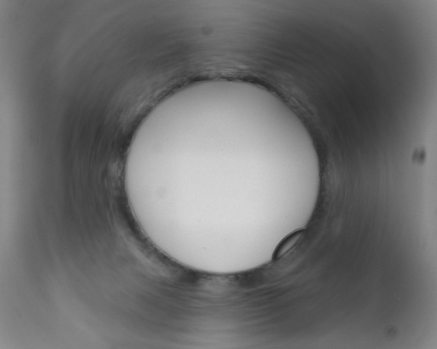 X0000111000079200906191154