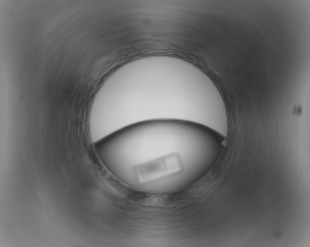 X0000111000080200906191154