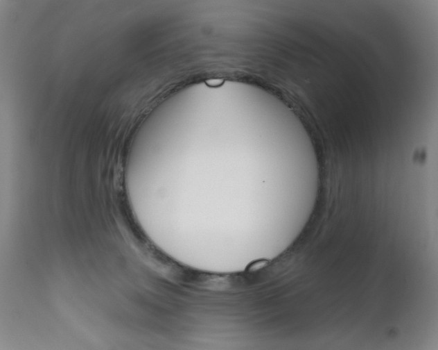 X0000111000083200906191154
