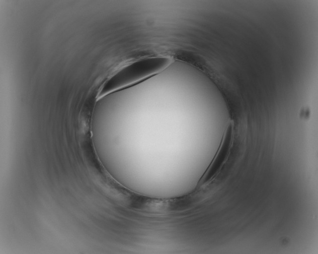 X0000111000084200906191154