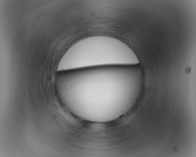 X0000111000085200906191154