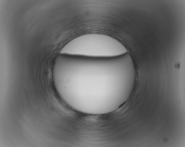 X0000111000086200906191154