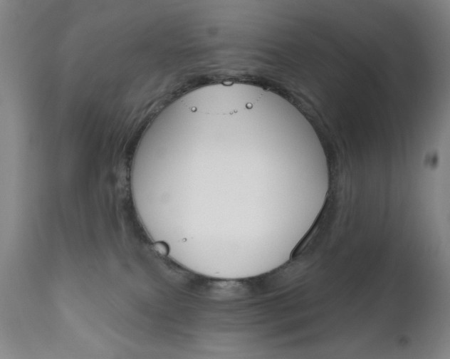 X0000111000087200906191154