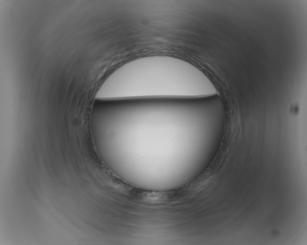 X0000111000088200906191154