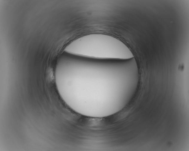 X0000111000089200906191154