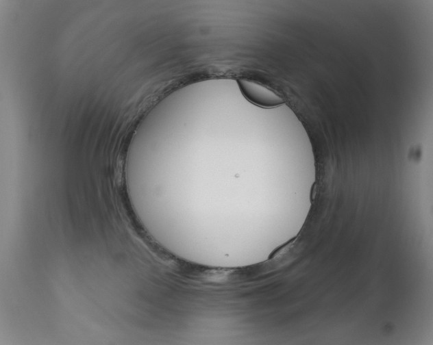X0000111000090200906191154