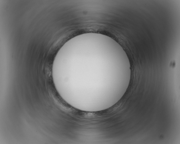 X0000111000091200906191154