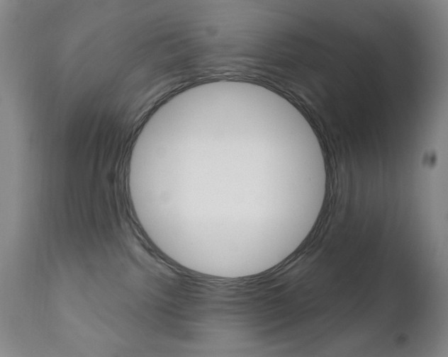 X0000111000092200906191154
