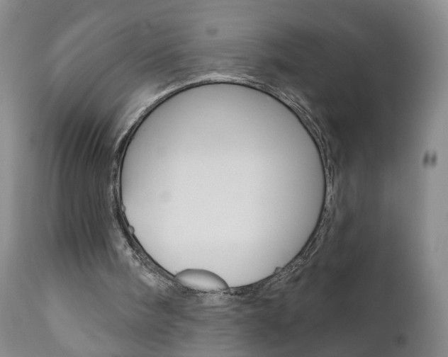 X0000111000098200906191153
