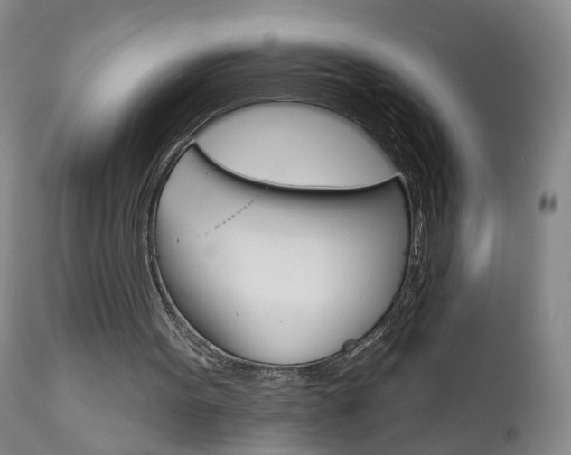 X0000111000099200906191153