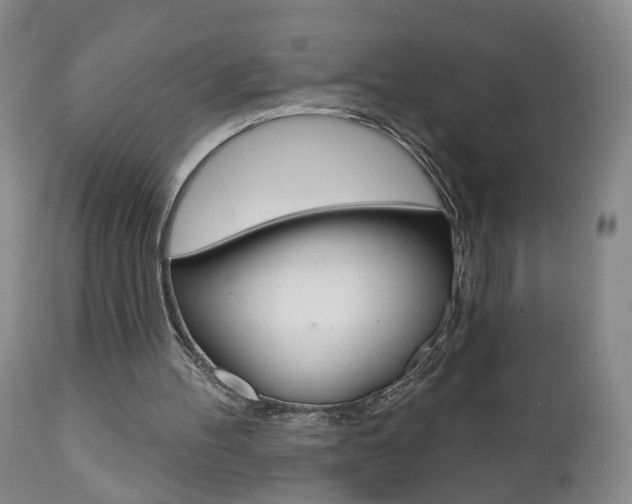 X0000111000100200906191153