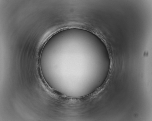 X0000111000101200906191153
