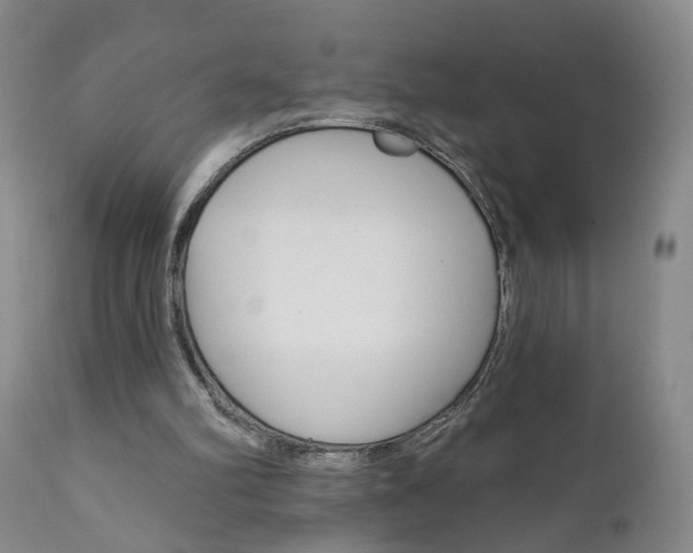 X0000111000102200906191153