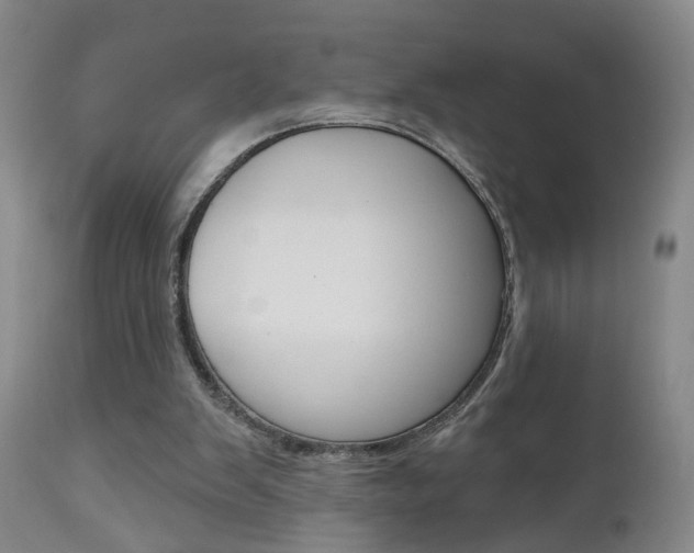 X0000111000103200906191153