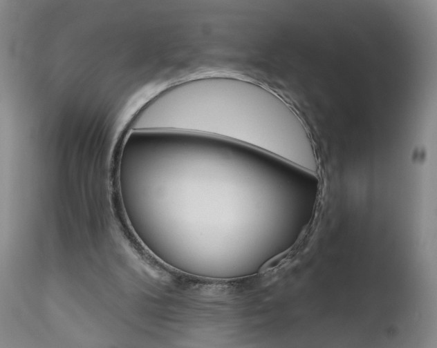 X0000111000104200906191153