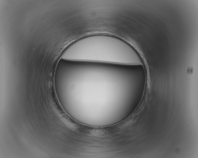 X0000111000105200906191153