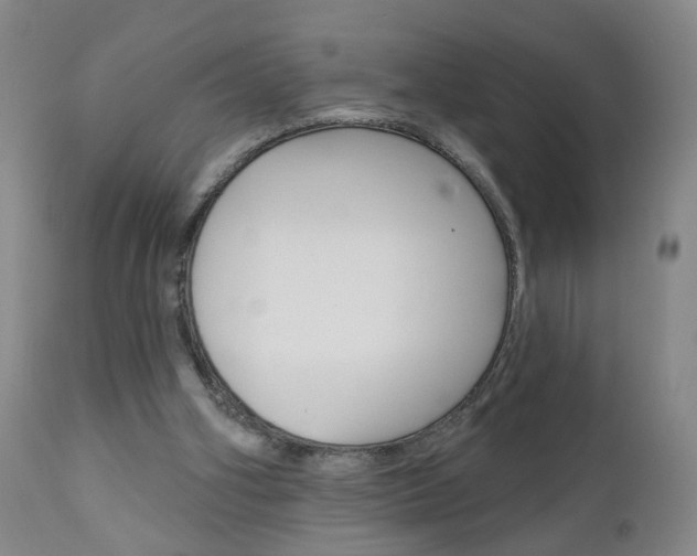 X0000111000106200906191153
