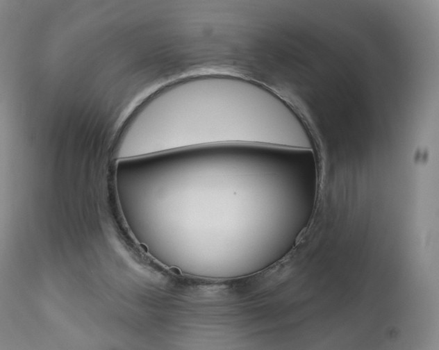 X0000111000108200906191153