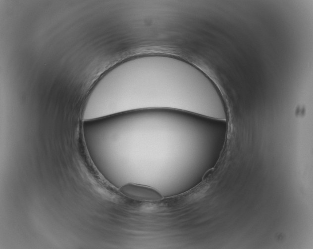 X0000111000109200906191153