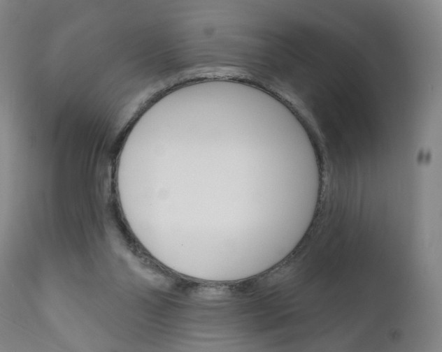 X0000111000110200906191153