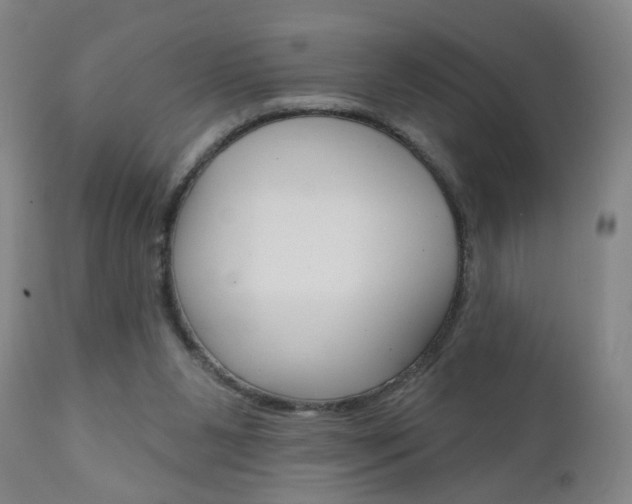 X0000111000111200906191153