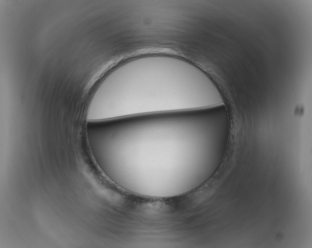 X0000111000112200906191153