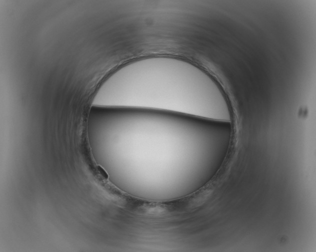 X0000111000113200906191153
