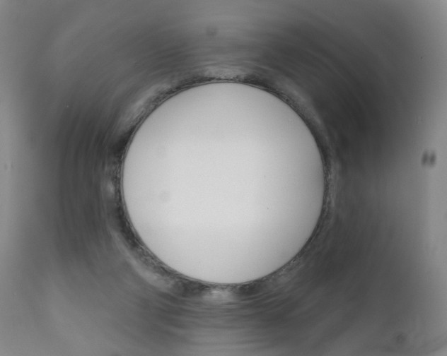 X0000111000114200906191153