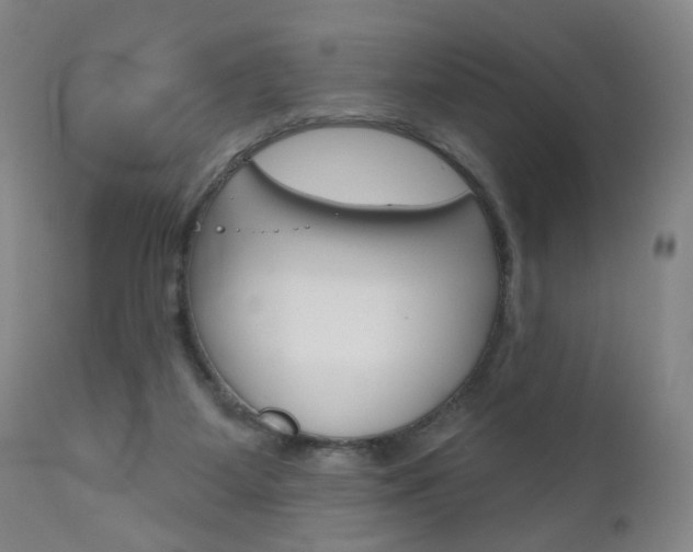 X0000111000115200906191153