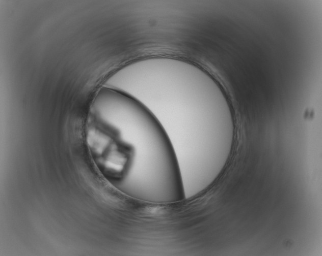 X0000111000117200906191153