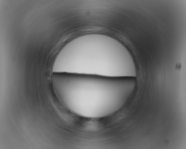 X0000111000119200906191153