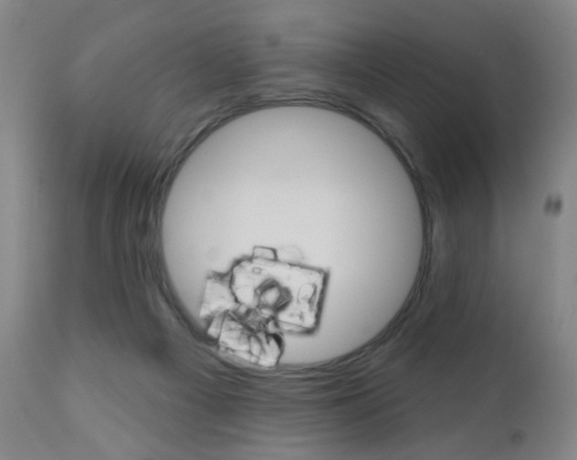 X0000111000121200906191153
