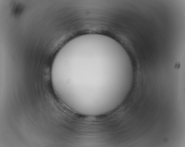X0000111000123200906191153