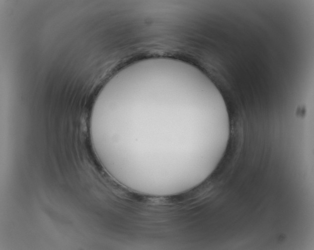 X0000111000127200906191153