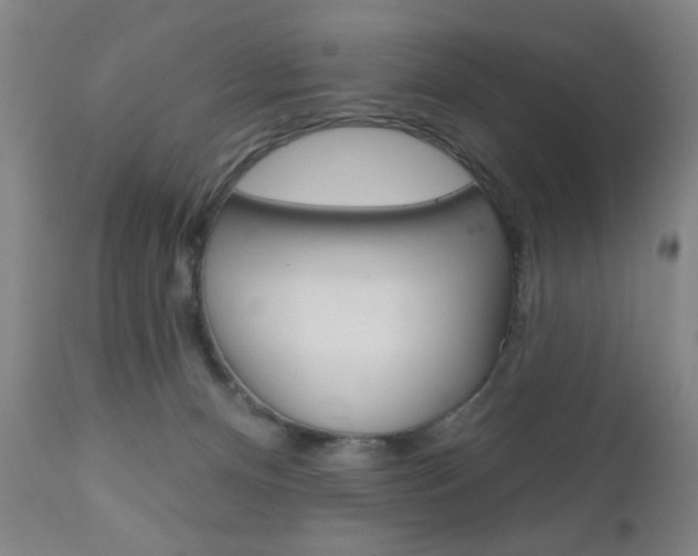X0000111000128200906191153