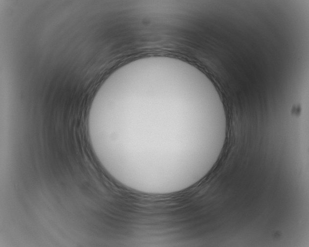 X0000111000129200906191153