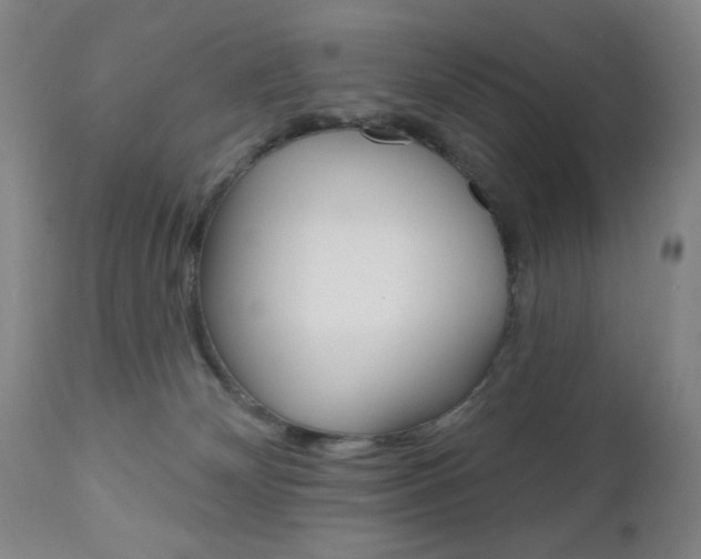 X0000111000132200906191153