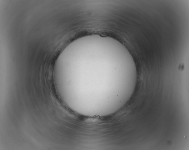 X0000111000133200906191153