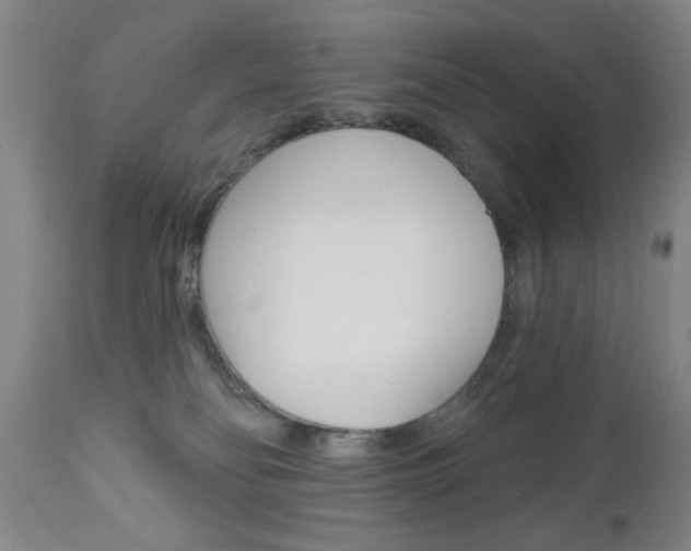 X0000111000134200906191153