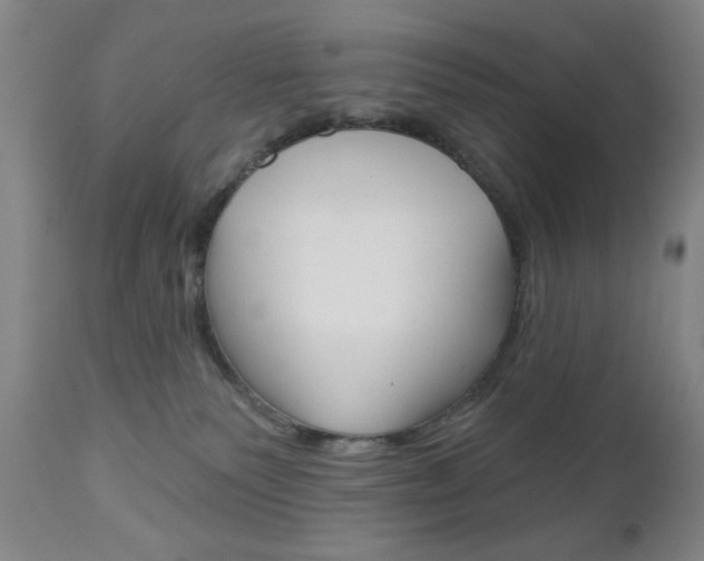X0000111000135200906191153
