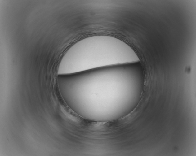 X0000111000136200906191153