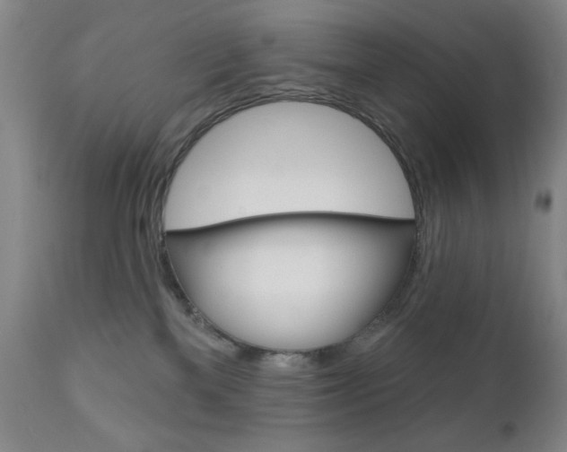 X0000111000137200906191153